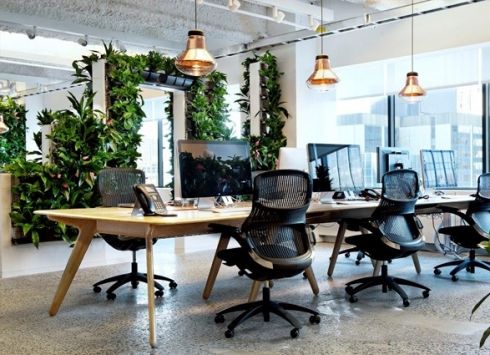 A Guide to Designing a Biophilic Office