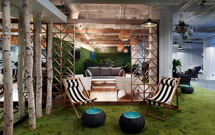 A Guide to Designing a Biophilic Office
