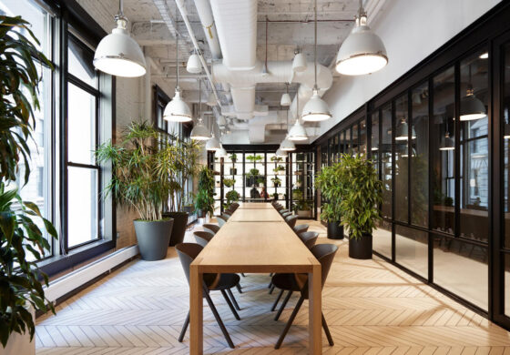 A Guide to Designing a Biophilic Office