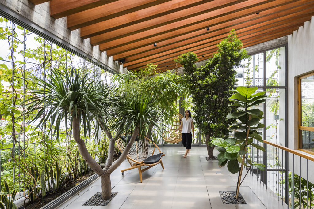 A Guide to Designing a Biophilic Office