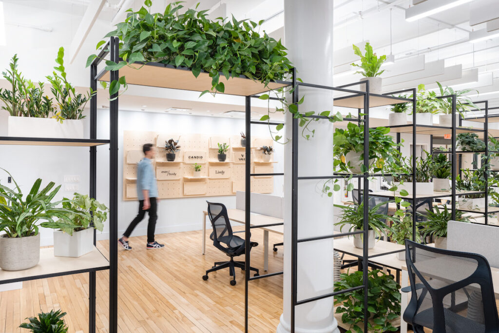 A Guide To Designing A Biophilic Office Ianiko