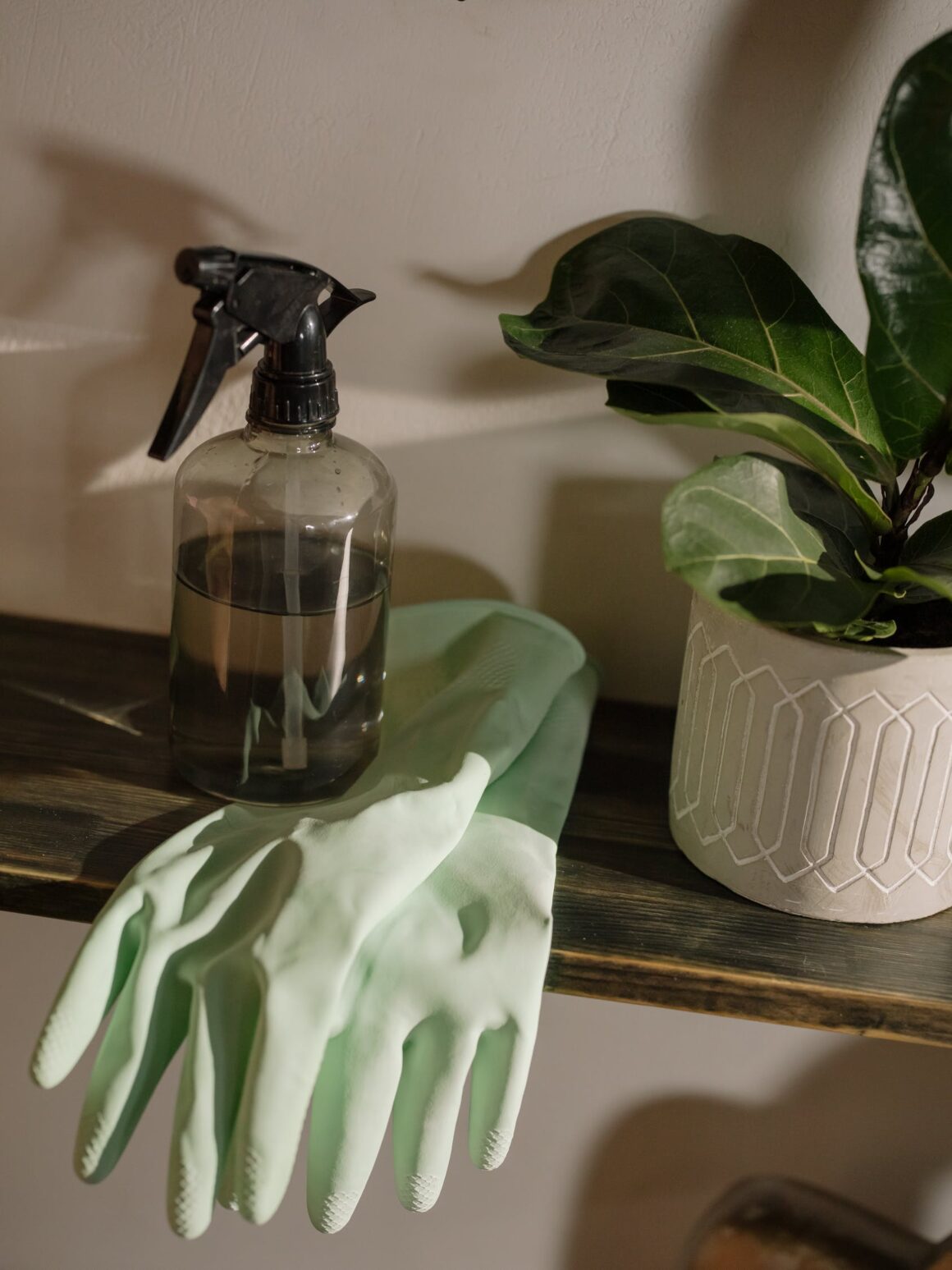 The Only List of Non-Toxic Cleaning Products You Need