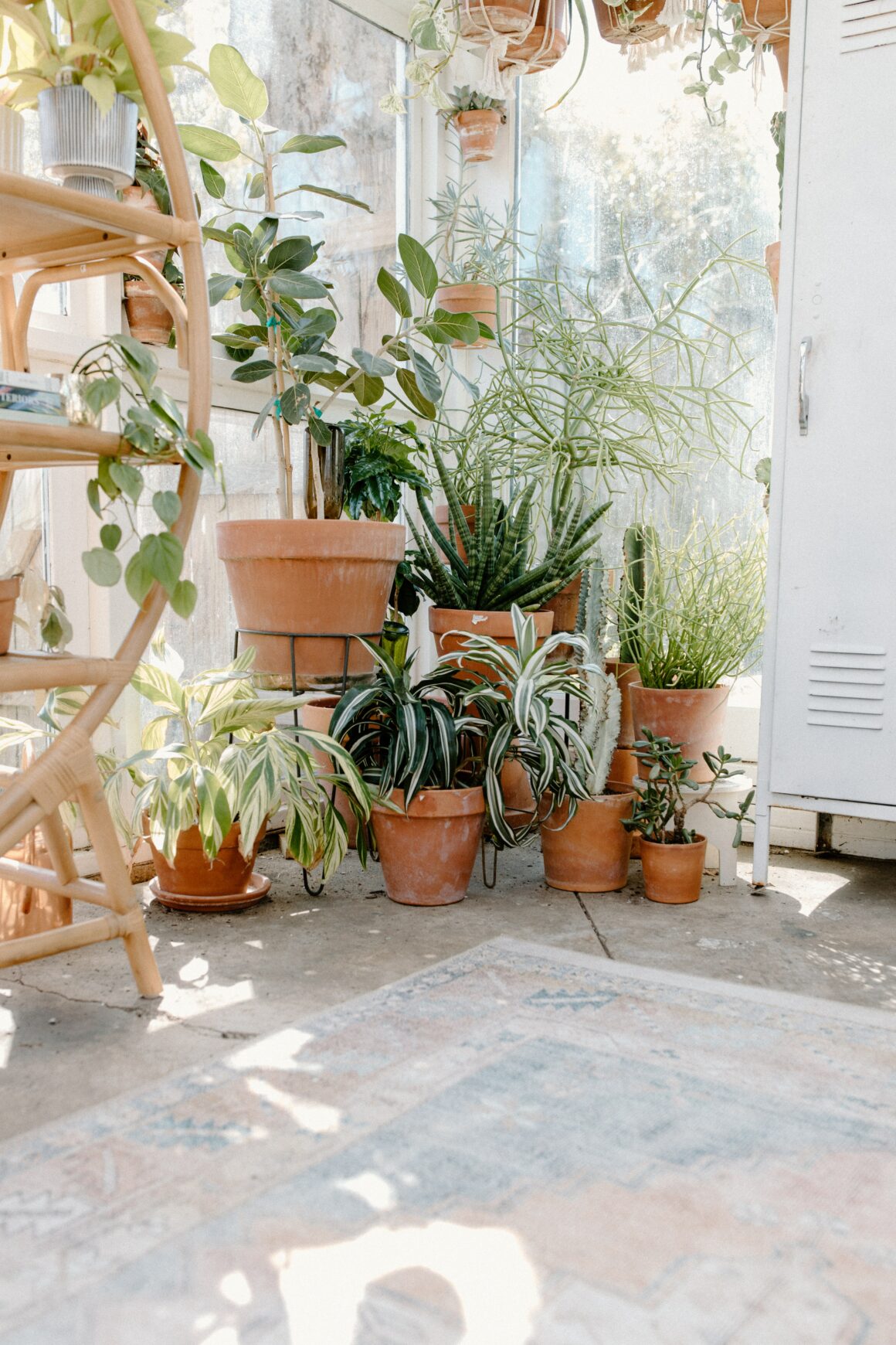 Desert-Inspired Decor