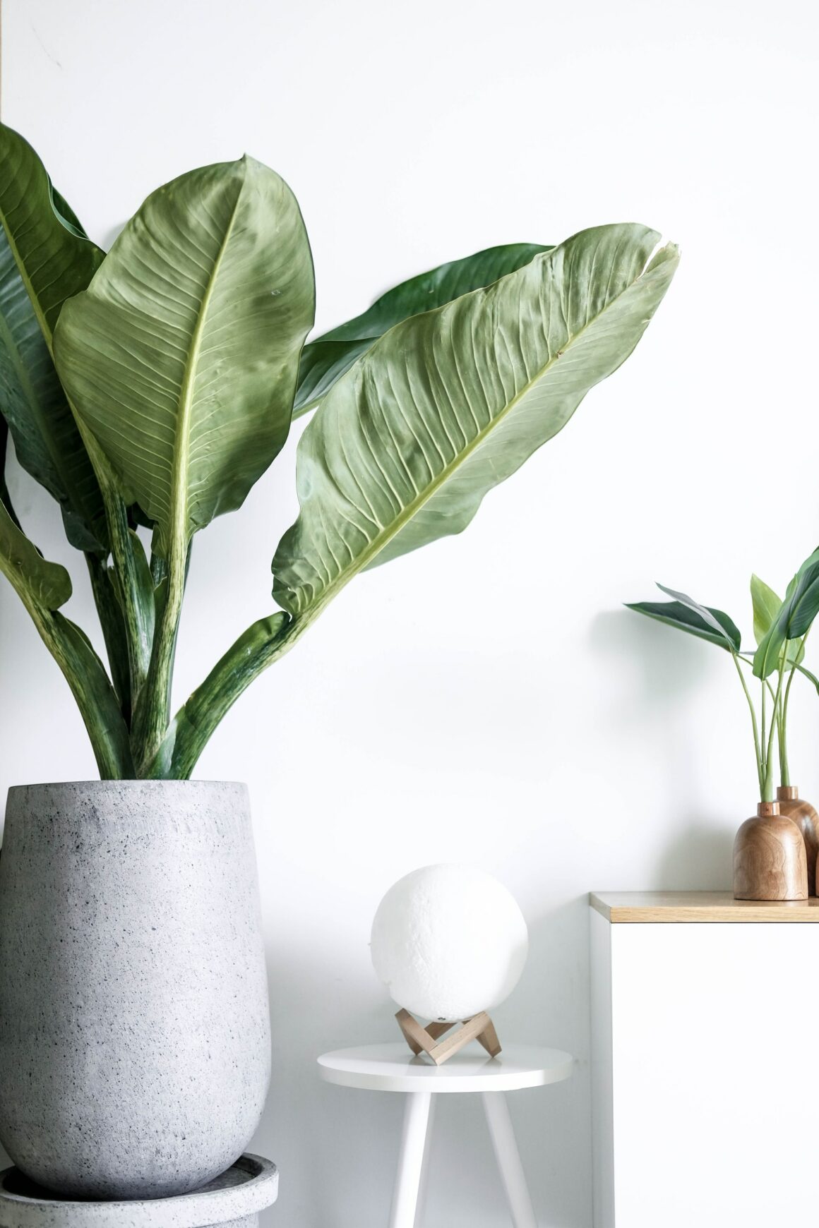 Best Minimalist Pots And Planters