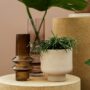 Best Minimalist Pots And Planters