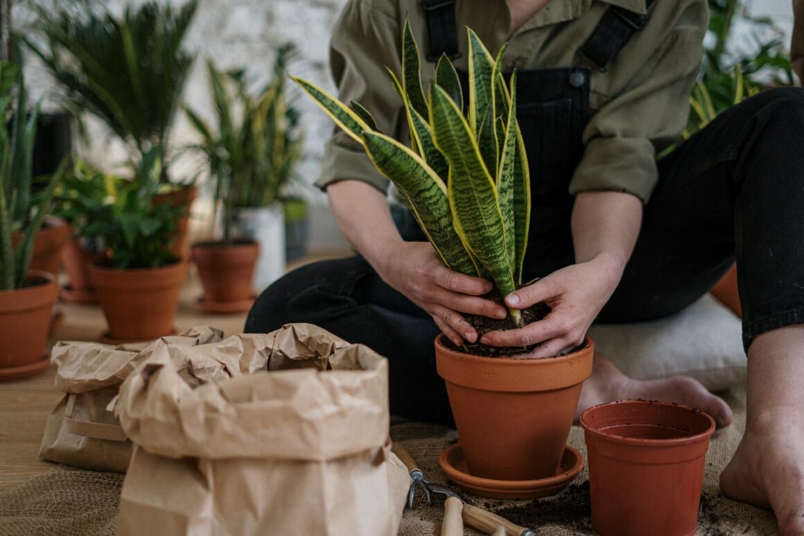 Best Minimalist Pots And Planters