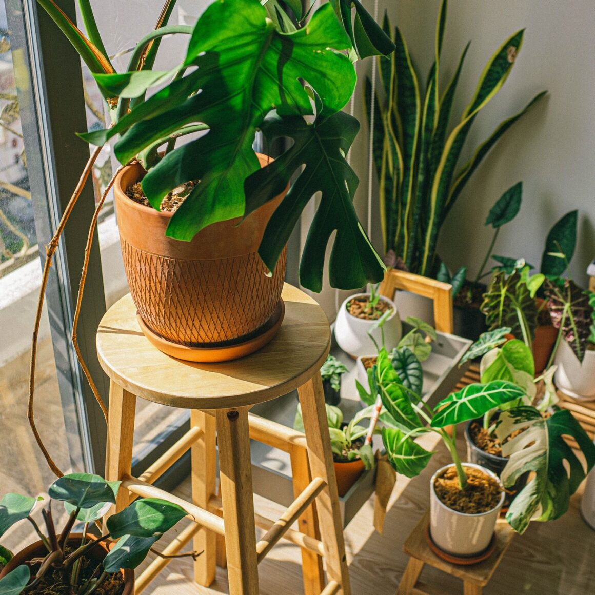 Best Minimalist Pots And Planters